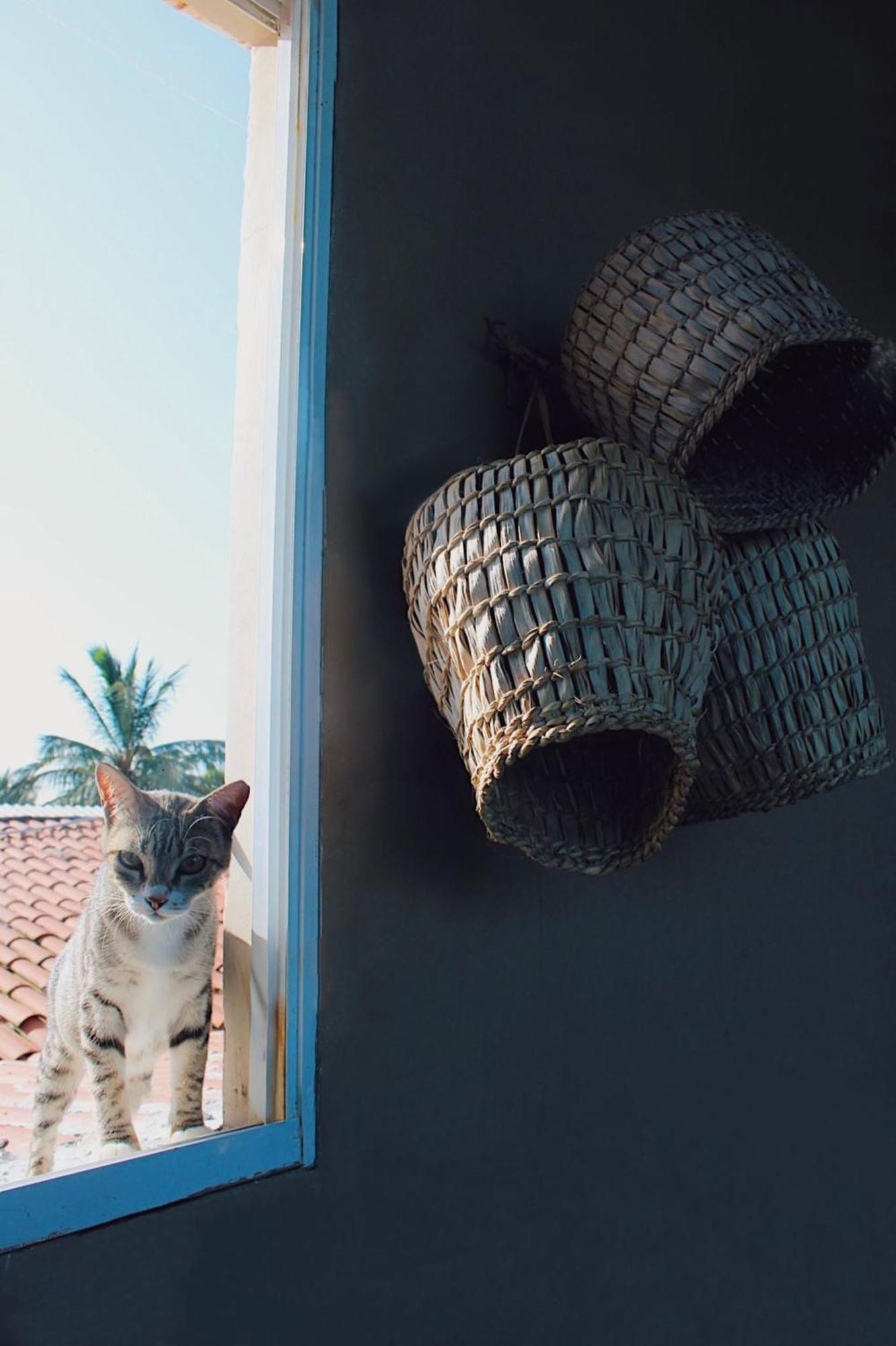 Uru Pousada Jijoca de Jericoacoara Ngoại thất bức ảnh